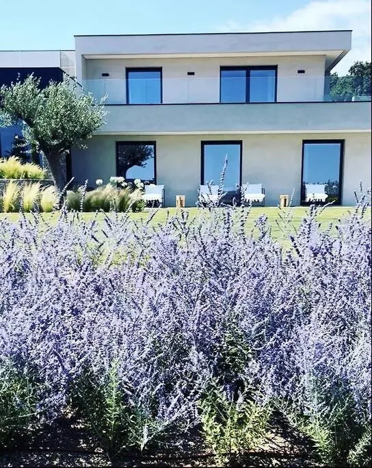 Villa Elsa, Golfe De Saint Tropez, Sublime Vue Mer Grimaud France